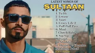 Sultaan all new songs 2024 || Latest panjabi songs 2024 || Sultaan Audio jukebox 2024.