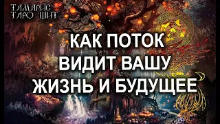 КАК ПОТОК ВИДИТ ВАШУ ЖИЗНЬ И БУДУЩЕЕ?🌔🔥💯 ГАДАНИЕ РАСКЛАД ТАРО