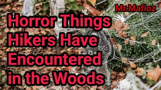 Horror Things Hikers Have Encountered in the Woods @MrMafioz