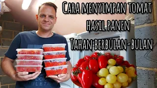 CARA MENYIMPAN TOMAT HASIL PANEN TAHAN BERBULAN-BULAN || STOCK MAKANAN MUSIM DINGIN