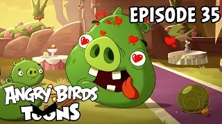 Angry Birds Toons | Love is in the Air - S1 Ep35