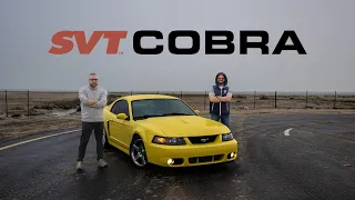 2003 Ford Mustang Cobra SVT Terminator ممتعة بعد ٢٠ سنة؟