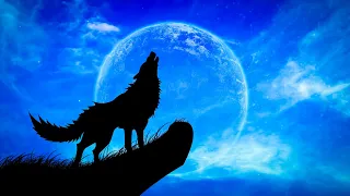 Worldwide Howl at the Moon Night | Wolves Howling at the Moon