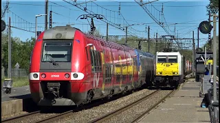 Trains in Occitanie, France: SNCF - TGV, AVE, TER, Intercités, Fret. Narbonne, Coursan, Agde