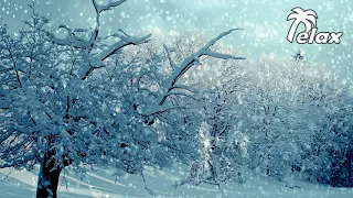 Captivating serenity: The sound of Snowfall in the Forest