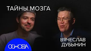 МОЗГ, ЕДА и ЛЮБОПЫТСТВО