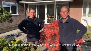Making Bonsai A 1-2-1 with Angelica from the USA