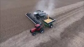 Gleaner R76 North Dakota Soybean Harvest