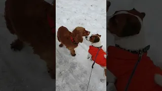 Мимолетное увлечение 🧡 Ключевое слово - мимо 😅