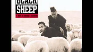 Black Sheep - The Choice Is Yours (OTN)