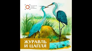 Журавль и цапля. Русская народная сказка. Читает Дмитрий Васянович, Красноярская филармония