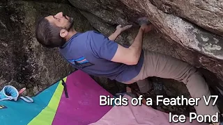 Birds of a Feather (V7) - Ice Pond Bouldering