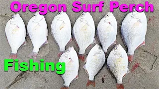 How To Catch Surf Perch - Oregon Surf Perch Fishing