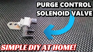 Purge Control Solenoid Valve | How to test and replace at home! | P0458 P0459