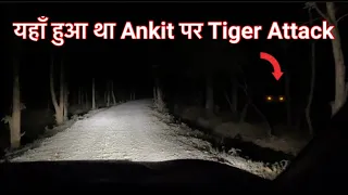 Night Drive in Jim Corbett National Park | Jim Corbett Tiger Attack | Jim Corbett Maneater Tiger