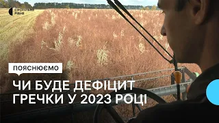 Чи вистачить Україні гречки у 2023 році