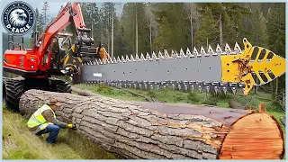 250 CRAZY Powerful Wood And Forestry Machines: Heavy-Duty Equipment That Are On Another Level