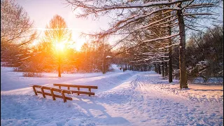 Beautiful Relaxing Music With Nature Sounds - Peaceful Soothing Instrumental Music, "Winter Nature"
