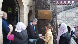 Raduj se Nektarije, Arhijereju Božiji...