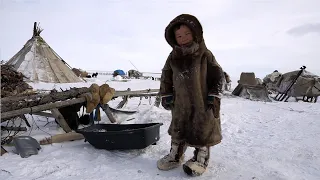 Children of TUNDRA. Winter Everyday life of nomads. North of Russia. Nenets