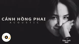 CÁNH HỒNG PHAI - NHỮNG BẢN ACOUSTIC COVER NHẸ NHÀNG THƯ GIÃN HAY NHẤT 2021 #2