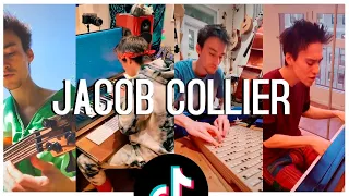 JACOB COLLIER | TIKTOK COMPILATION |