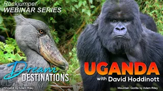 Webinar: Uganda with David Hoddinott