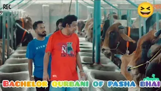 Bachelor's Qurbani || Kajal Arefin Ome || Dhurbo Tv Eid Drama 2022