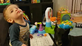 Baby and Dog Have a Conversation Through Howling - 1016441
