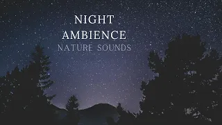 Night Ambience | Nature Sounds | Sleep Sounds | Black Screen | Soft Rain & Thunder | Crickets