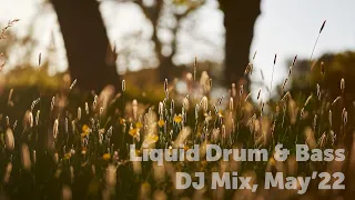 Sunny Liquid Drum & Bass DJ Mix, May'22