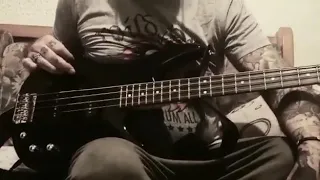 Bass cover europe the final coutdown