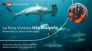 Documental LA ROCA VIVIENTE  Malpelo la isla de los TIBURONES