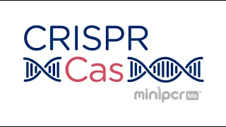 CRISPR/Cas gene therapy webinar