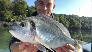 Sea Fishing UK - Gilthead Bream and Bass Fishing