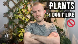 Popular Plants That I Just Don’t Like