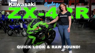 2024 Kawasaki ZX-4RR Quick Look & Raw Sound | Cycle Barn