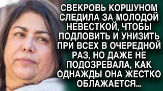 Свекровь не могла удержаться, чтобы не подловить невестку, но облажалась...