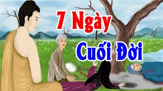 Chuyện Phật giáo Hay Nhất: Bật Khóc Vì Câu Chuyện Duyên Tận Sau 7 Ngày - Kể Truyện Đêm Khuya