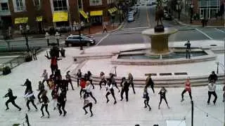 Gangnam Style Flashmob in Va Beach