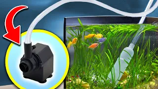 5 Aquarium Tips & Tricks to Save You Time