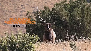 Hunting New Mexico Archery Elk with Randy Newberg (FT S2 E4)