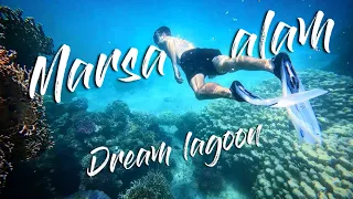 EGYPT | Dream Lagoon 🐬☀️