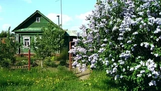 -Домик окнами в сад- (Алексей Гузеев)