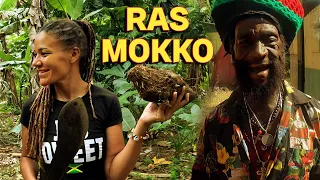 Farm Life a Day at Ras Mokko's River Retreat ( Uncut Edition) Airbnb