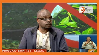 | CITIZEN WEEKEND | Muguka Ban: Is it Legal?