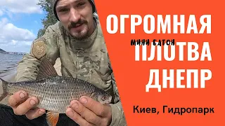 Рыбалка на Днепре. Ловля огромной плотвы. Фидер осенью в городе Киев!