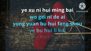 Xu Duo Nian Yi Hou-Karaoke Male-Versi Cewek-No Vokal