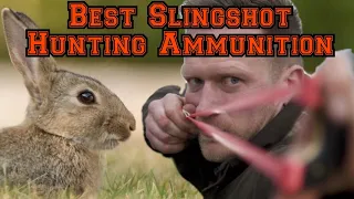Catapult / Slingshot Ammo Choice for Hunting