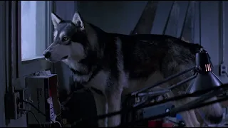 Alien Dog in The Thing (1982)